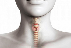 12 признаков, что у вас проблемы со щитовидной железой