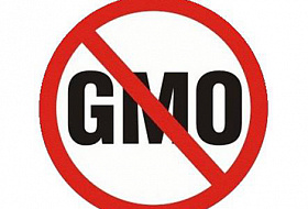 6 компаний, которые выпускают продукцию с ГМО