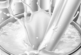 Как фальсифицируют молочные продукты?