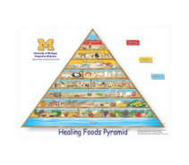 Пищевая пирамида здоровья