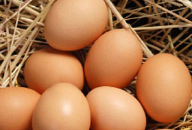 Чем опасны куриные яйца и как уберечься от сальмонеллёза